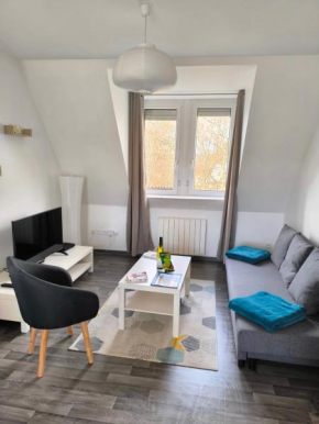 Appartement Cosy à Colmar